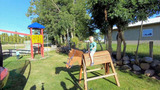 Ferienhaus in Fehmarn - G&auml;nsebl&uuml;mchen - Bild 14