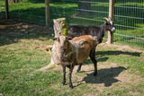 Ferienwohnung in Gr&ouml;mitz - Feldblick - Bild 11