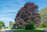 Ferienwohnung in Gr&ouml;mitz - Alter Pferdestall - Bild 15