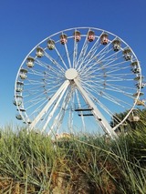 Ferienwohnung in Fehmarn OT Burgtiefe - Auszeit am Yachthafen - Bild 19