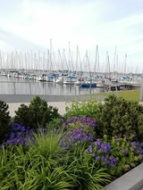 Ferienwohnung in Fehmarn OT Burgtiefe - Auszeit am Yachthafen - Bild 20
