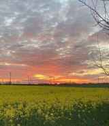 Ferienwohnung in Koselau - Gut Koselau Stellplatzwiese - Bild 5