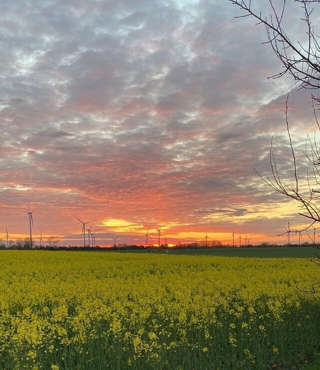 Ferienwohnung in Koselau - Gut Koselau Stellplatzwiese - Bild 5