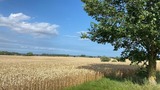 Ferienwohnung in Koselau - Gut Koselau Stellplatzwiese - Bild 7