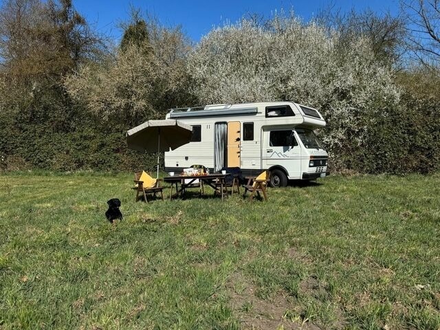 Ferienwohnung in Koselau - Gut Koselau Stellplatzwiese - Bild 8