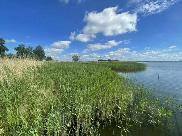 Ferienhaus in Garz - Familienferienhaus R&uuml;genbrise - Gemeinsames Urlauben mit Steg und Boot auf R&uuml;gen - alles inklusive und 5 B&auml;der - Bild 22