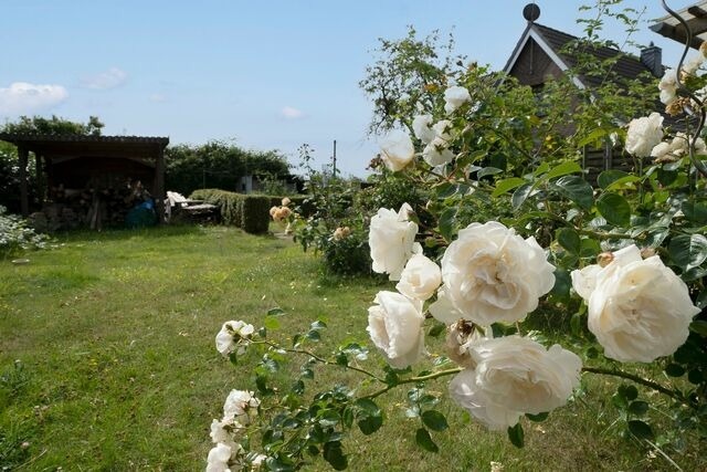 Ferienwohnung in Haffkrug - Haus Waldfrieden Ferienhäuschen Waldfrieden - Bild 23