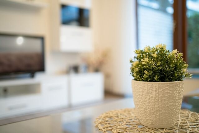 Ferienwohnung in Gr&ouml;mitz - Haus Seebrise- Wohnung 7 - Bild 10