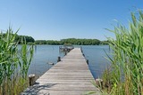 Ferienwohnung in Bosau - Haus Schwanensee PL&Ouml;NI 12 - Bild 1