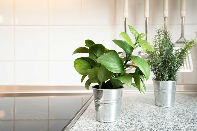 Ferienwohnung in Grömitz - Gildestraße 31- Wohnung 3 - Bild 18