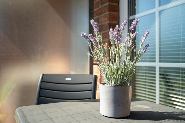 Ferienwohnung in Schönberger Strand - Fliedergang 2 Seebrise - Bild 16