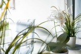 Ferienwohnung in Grömitz - Strandschloss Wohnung 29 - Bild 10