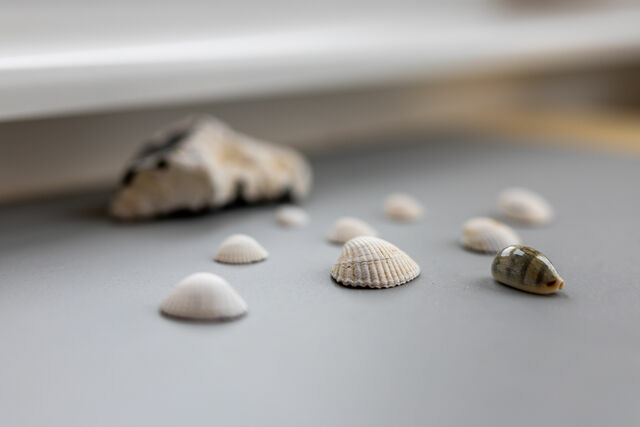 Ferienwohnung in Schönberg - Strandkorb - Bild 7