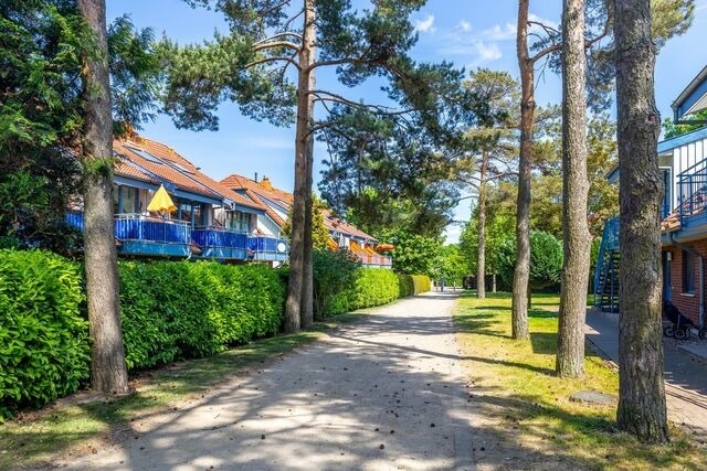 Ferienwohnung in Boltenhagen - Papillon 9-8 Wohnung "Ostseekoje" - Bild 23