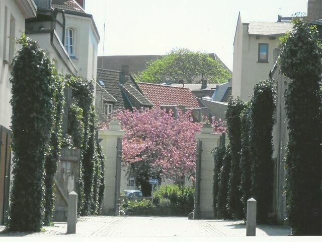 Ferienwohnung in Wismar - Altstadtsonne 2 - ABC35 - nur Ferieng&auml;ste! - Bild 15