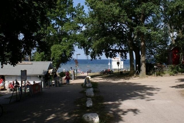 Ferienwohnung in Zierow - M&ouml;we am Strand - ABC58 - Bild 3