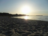 Ferienwohnung in Zierow - M&ouml;we am Strand - ABC58 - Bild 12