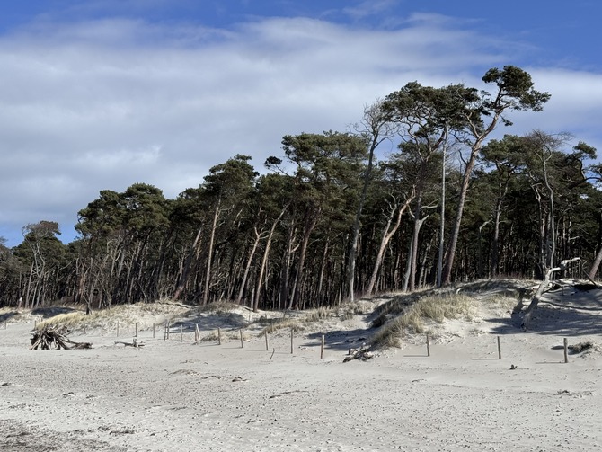 Ferienwohnung in Born a. Dar&szlig; - Ahoi Dar&szlig;koje - Weststrand
