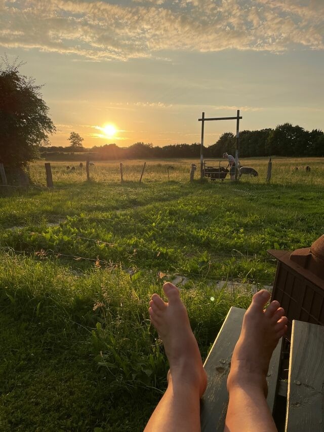 Ferienwohnung in Wagersrott - Ferienwohnung nahe Ostsee & Schlei - Bild 23