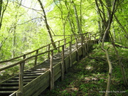 Nationalpark Jasmund