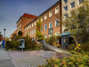 Museum für Natur und Umwelt